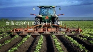 野菜对治疗口腔溃疡有疗效吗？