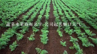 蔬菜水果商标名字 公司起名顺口大气