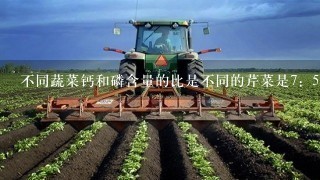 不同蔬菜钙和磷含量的比是不同的芹菜是7：5，菠菜是2：1茄子23：20哪种蔬菜钙和磷含量比谁最高？