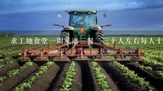 求工地食堂1周菜谱3餐23十人左右每人十元5菜1汤