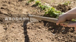 蔬菜沙拉的材料