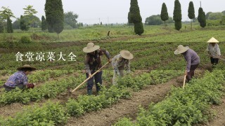 食堂凉菜大全