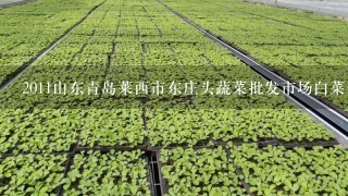 2011山东青岛莱西市东庄头蔬菜批发市场白菜价格？