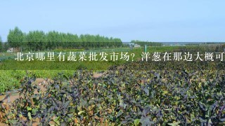 北京哪里有蔬菜批发市场？洋葱在那边大概可以买到多少钱？销量大吗？