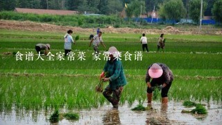 食谱大全家常菜 家常菜食谱