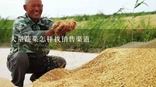 大量蔬菜怎样找销售渠道