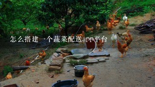 怎么搭建1个蔬菜配送app平台