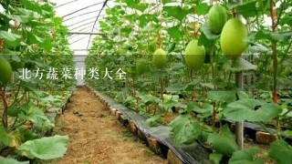 北方蔬菜种类大全