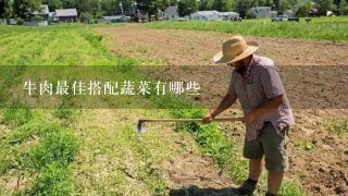 牛肉最佳搭配蔬菜有哪些