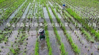 保定市蔬菜价格多少?比如白菜、土豆、豆角、黄瓜、西红柿等饭店消耗蔬菜，越详细越好，谢谢？