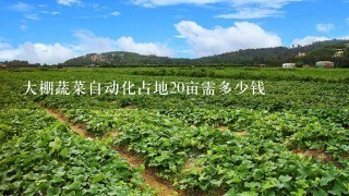 大棚蔬菜自动化占地20亩需多少钱