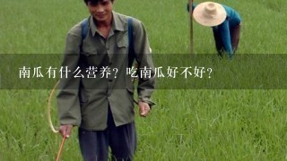 南瓜有什么营养？吃南瓜好不好？