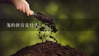 茏的拼音是什么