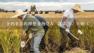 含钙丰富的理想食物是A．蔬菜 B．牛奶 C．花生 D．动物血 E．粮食请帮忙给出正确答案和分析，谢谢！