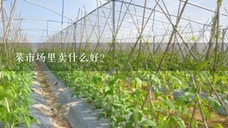 菜市场里卖什么好?