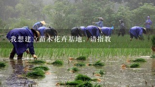 我想建立苗木花卉基地，请指教