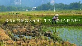 长春的气候怎么样呀？生活习惯什么样的呀？和江苏苏北相比呢？水果很贵吗？冬天不会只有土豆白菜吧？谢谢了