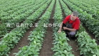 西兰花和什么菜1起炒好吃