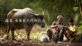 蔬菜.水果在古代叫什么