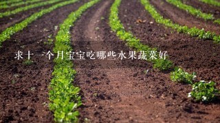 求十1个月宝宝吃哪些水果蔬菜好