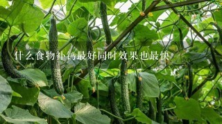 什么食物补钙最好同时效果也最快