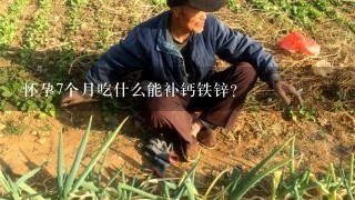 怀孕7个月吃什么能补钙铁锌?