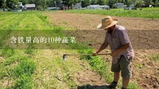 含铁量高的10种蔬菜