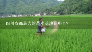 4川成都最大的苗木基地在那里？