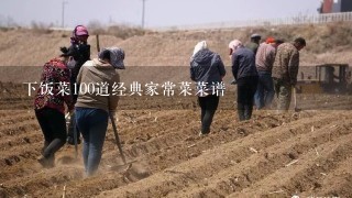 下饭菜100道经典家常菜菜谱