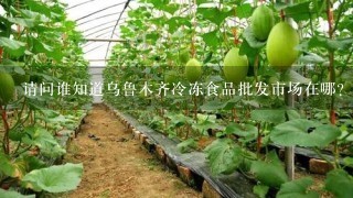 请问谁知道乌鲁木齐冷冻食品批发市场在哪？