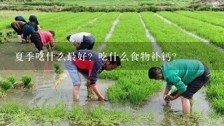 夏季吃什么最好？吃什么食物补钙？