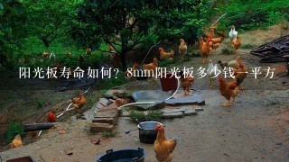 阳光板寿命如何？8mm阳光板多少钱1平方