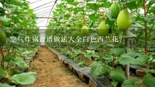 空气炸锅食谱做法大全白色西兰花？