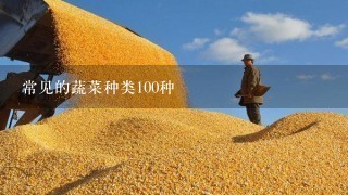 常见的蔬菜种类100种