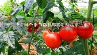 每月或者哪个季节都有哪些新鲜蔬菜上市？