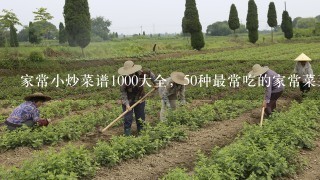 家常小炒菜谱1000大全，50种最常吃的家常菜菜名？