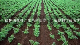 给你西红柿、生菜和胡萝卜，请你制作蔬菜沙拉，英语作文