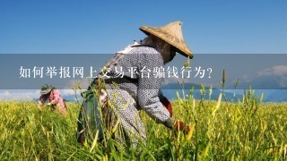 如何举报网上交易平台骗钱行为？