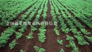 全国蔬菜批发市场价格信息