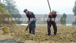 青菜哪些做法比较好、营养价值高？