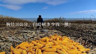 胸径10公分，白蜡树多少钱1棵？