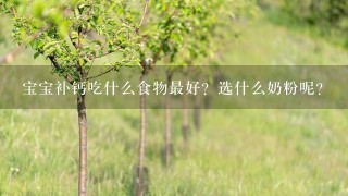 宝宝补钙吃什么食物最好？选什么奶粉呢？