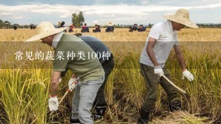 常见的蔬菜种类100种