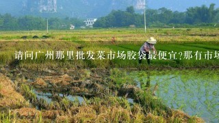 请问广州那里批发菜市场胶袋最便宜?那有市场用碎肉机卖？