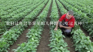 农村过年过节常见的几种野菜,吃过几种？