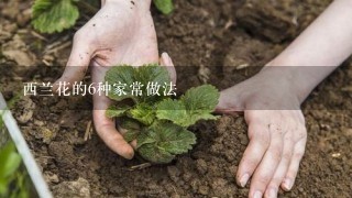 西兰花的6种家常做法