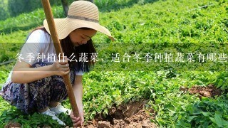 冬季种植什么蔬菜，适合冬季种植蔬菜有哪些？