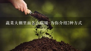 蔬菜大棚里面怎么取暖 为你介绍2种方式