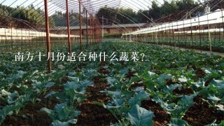 南方十月份适合种什么蔬菜?