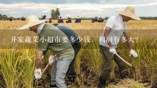 开家蔬菜小超市要多少钱，利润有多大？